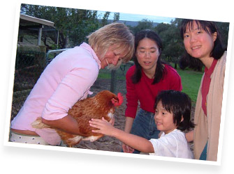 Attractions in the Swan Valley