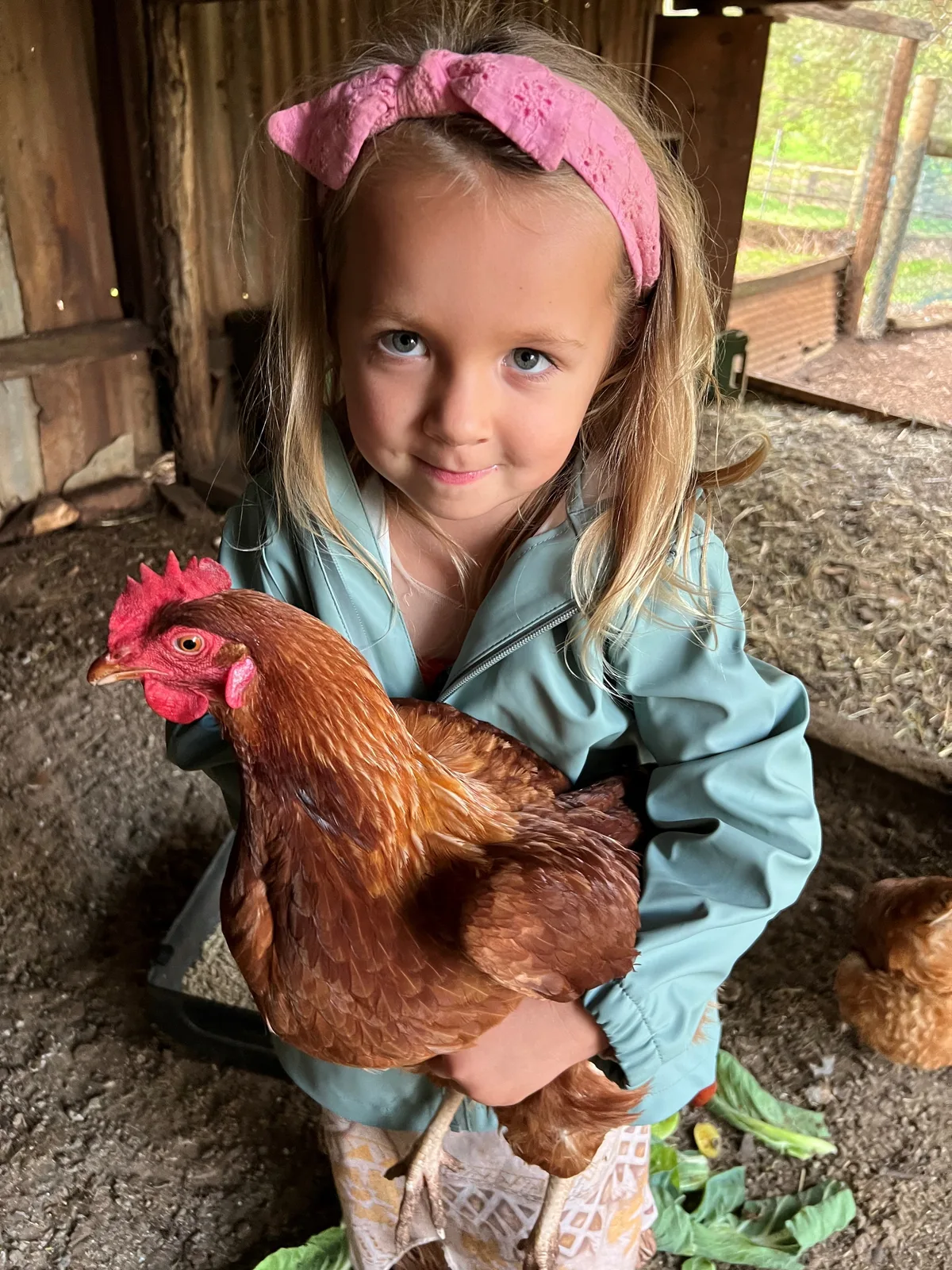 A child holding a chicken at Settlers Rest