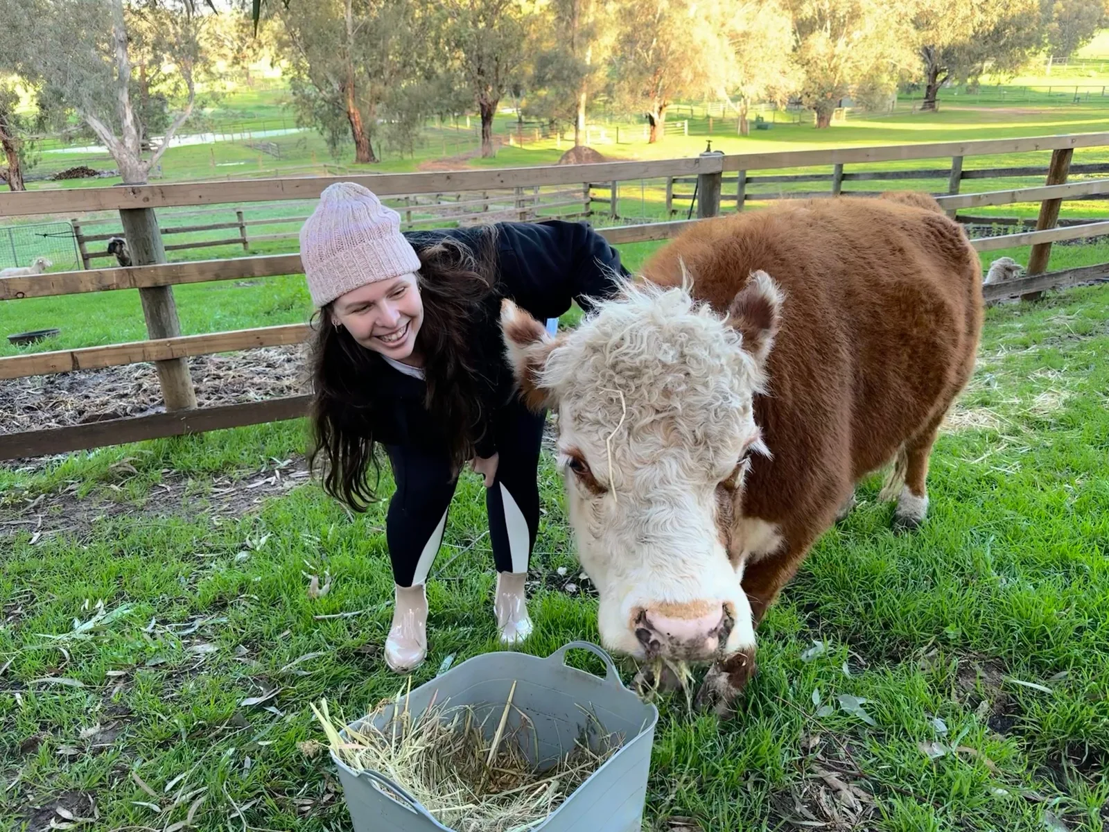 Elyce with Lena the cow at Settlers Rest