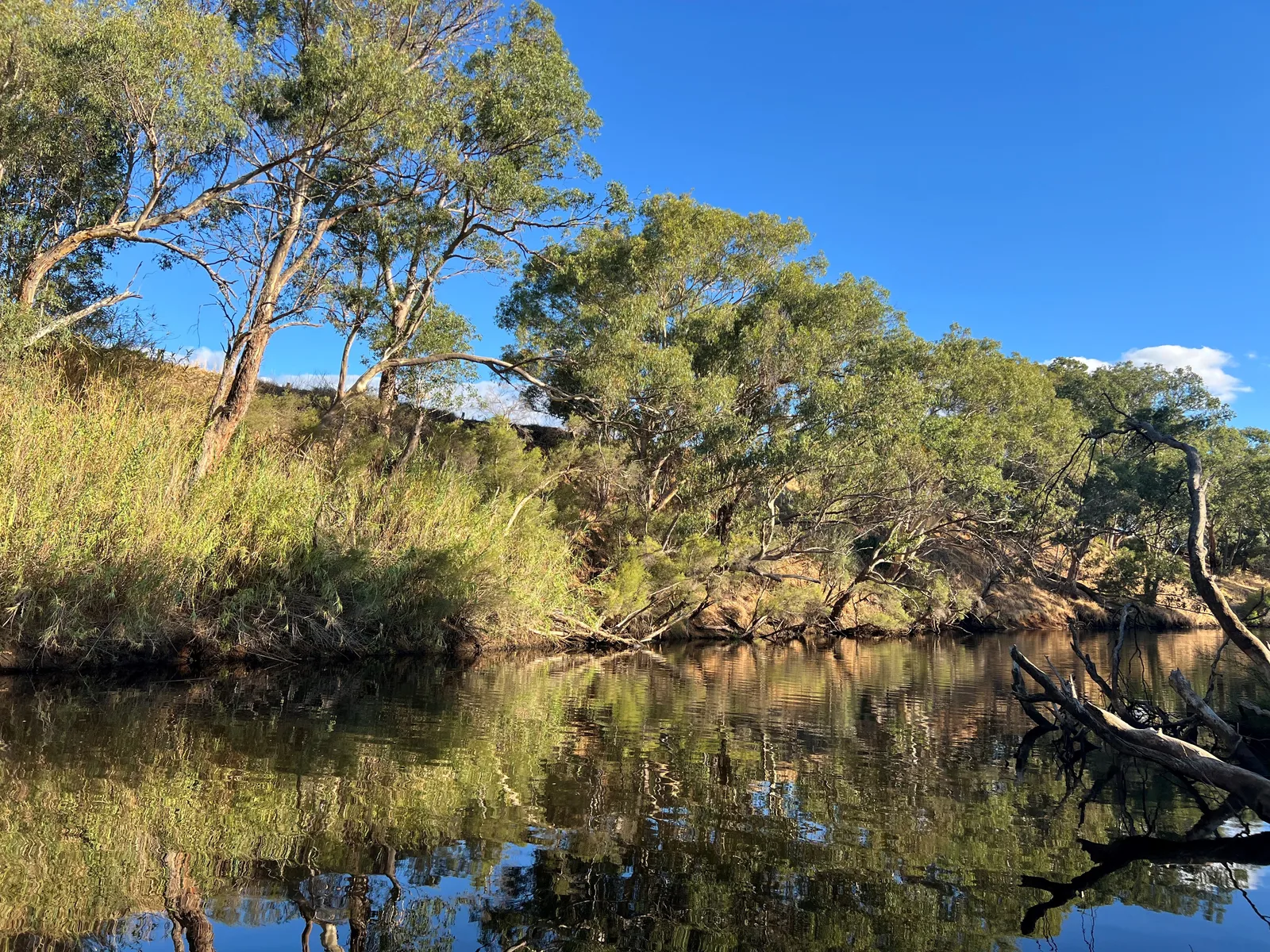 The river at Settlers Rest Farm