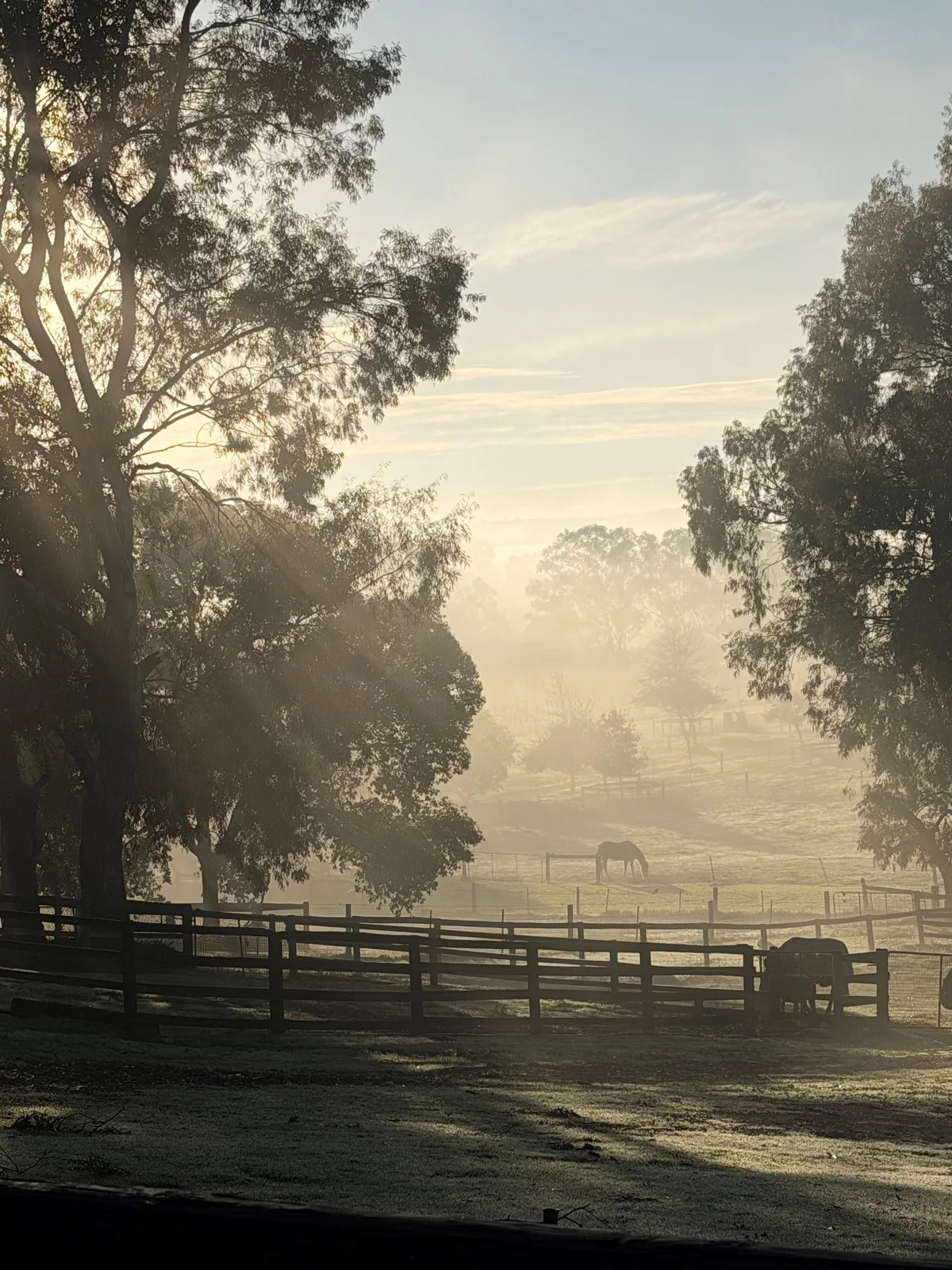 Early morning on the farm
