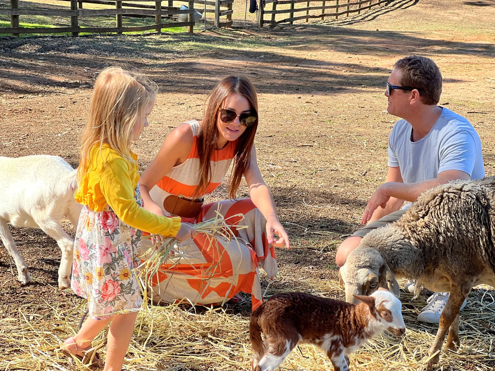 Family with the farm animals