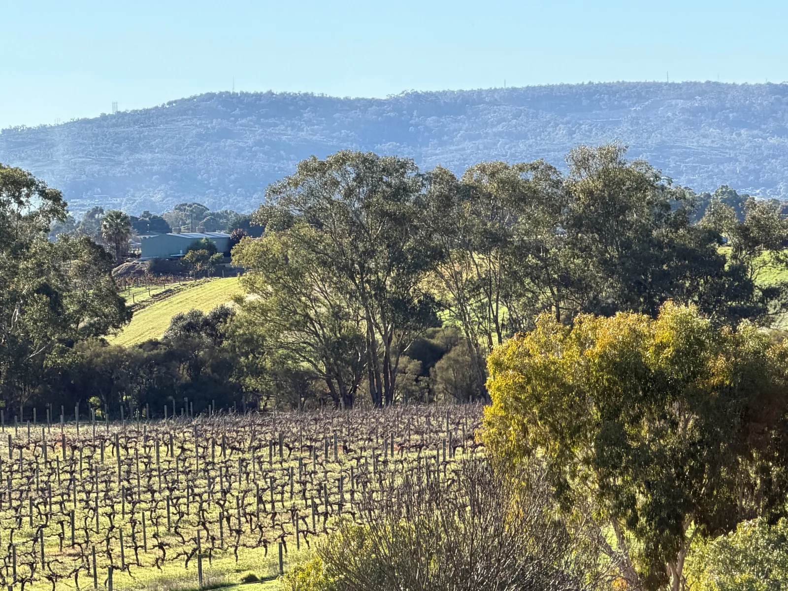 View across the farm