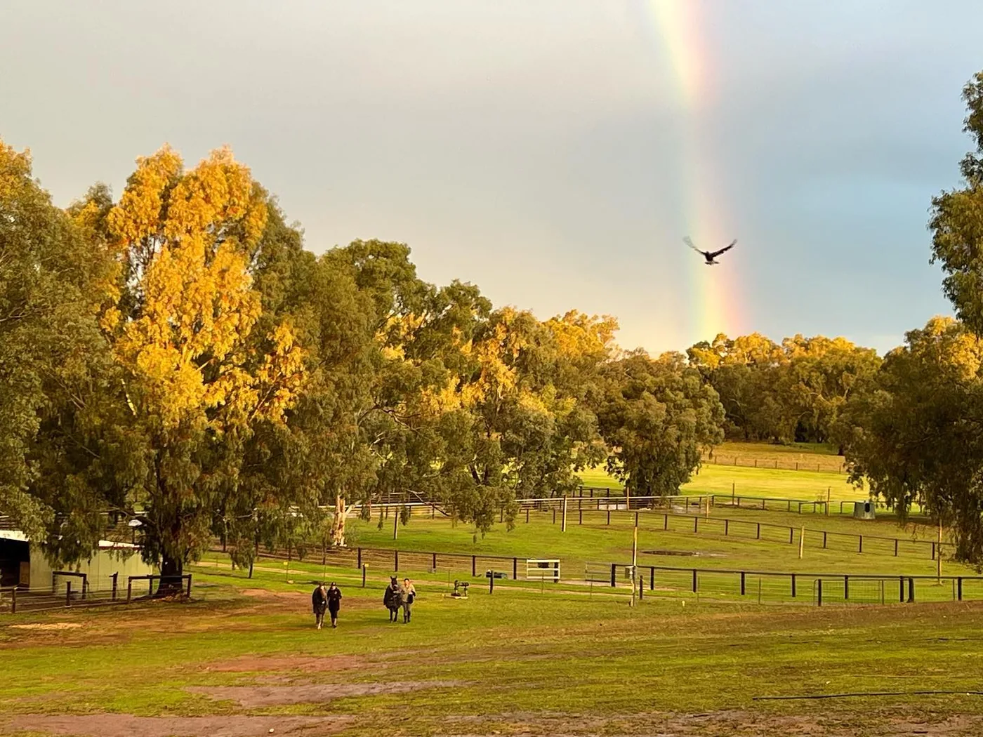Farm View