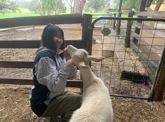 Making friends with Molly