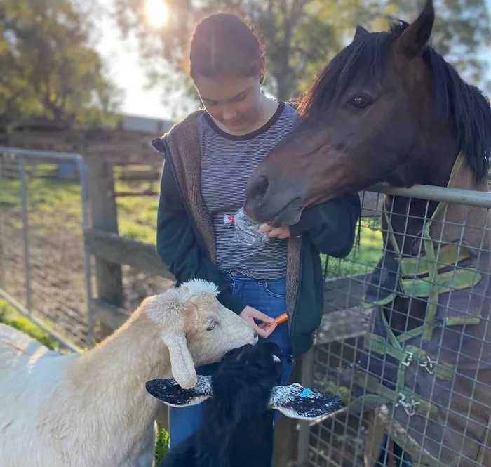 Feeding Molly a treat