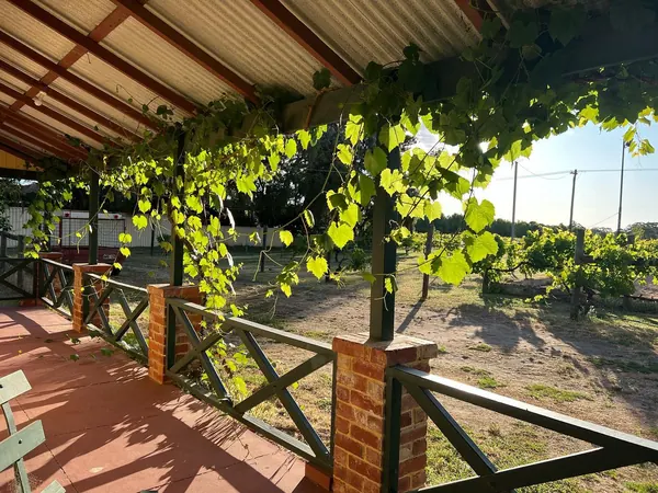 After a full day exploring, what better place could you possibly be, than on the veranda of Settlers Rest cottage for sunset drinks overlooking the vines#soperth#destinationperth #theswanvalley#sunset