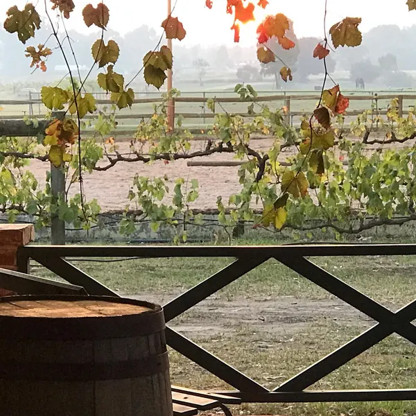 Sunset on the verandah, just perfect #settlersrestfarmstay #pictureperfect #sunsetatthefarm #@swanvalley