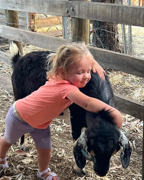 Kids and farm animals, what more could you want!  All to yourself, and an amazing heritage cottage to sleep in so you can do it all again the next day#settlersrestfarmstay #cityofswanwa #swanvalley#so