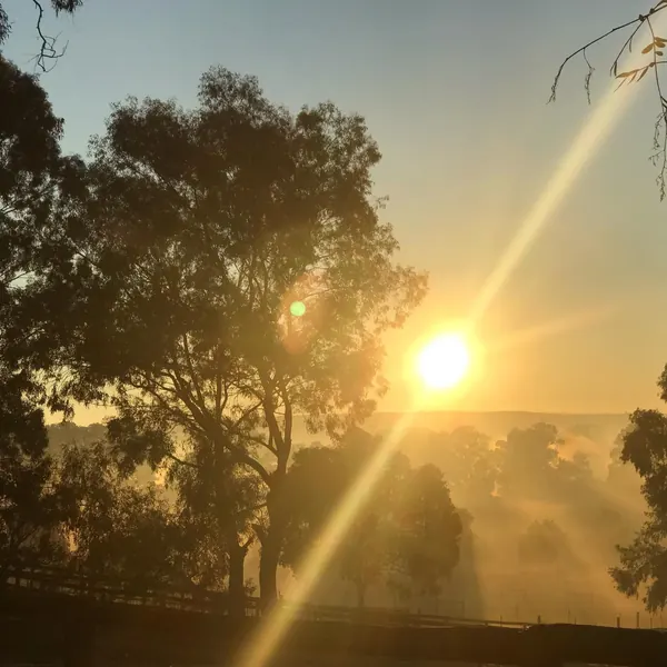 It’s a cold morning, but it’s beautiful here at the farm!  It’s so worth getting out of bed and witness the day as it u folds.  Nothing like farm life at Settlers Rest Farmstay , don’t waste valuable 