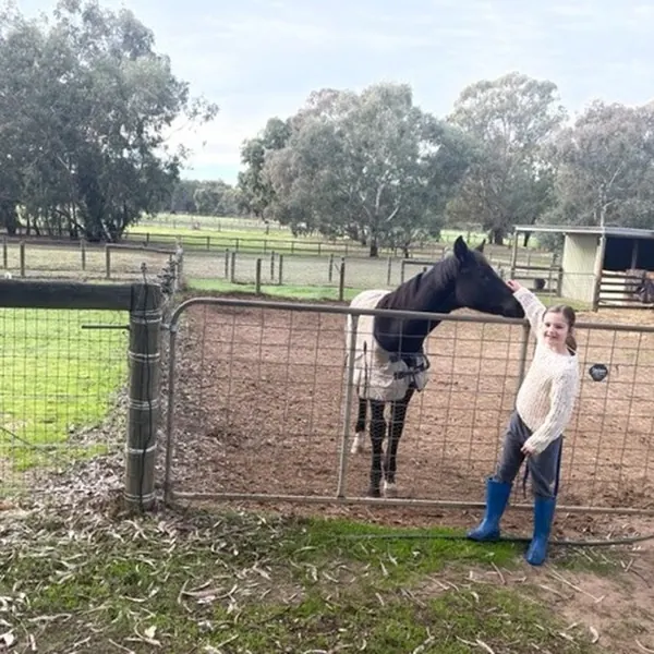 Meet Rocky, he's the youngest horse on the farm but certainly not the smallest! He is going to grow up to be a big boy! Only 9 months old but just loves all the attention. Want to meet Rocky? Check ou