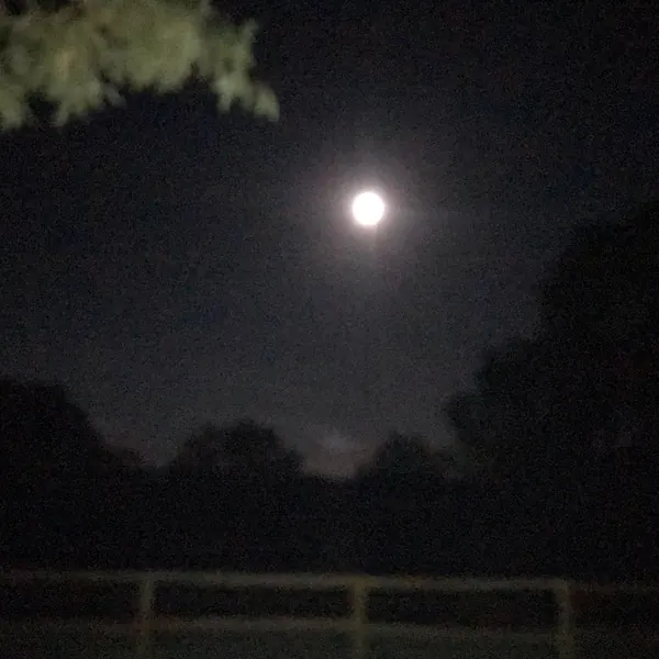 Make sure you take the time to venture outside, it’s chilly, a still night, so quiet and so very unique.  Animals are all fed and resting .  The cottage is probably warm with the open fire ambiance bu