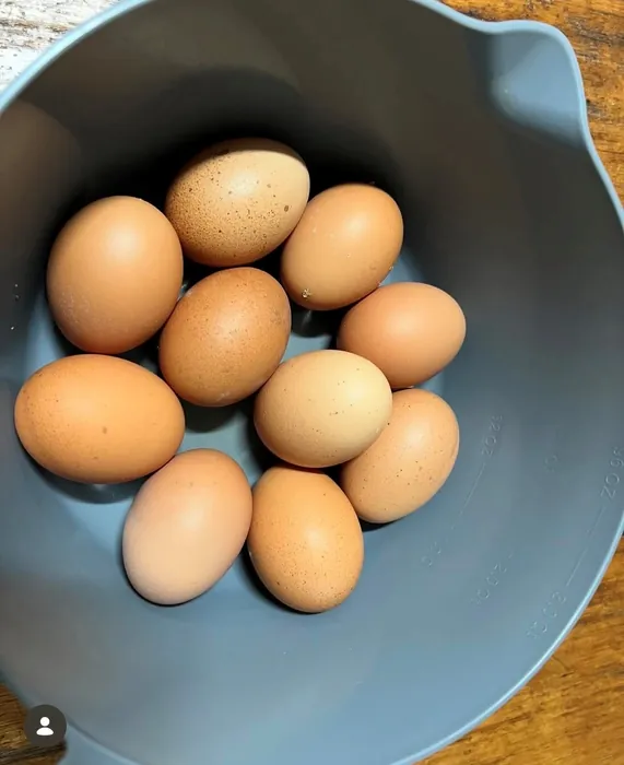 Fresh farm eggs