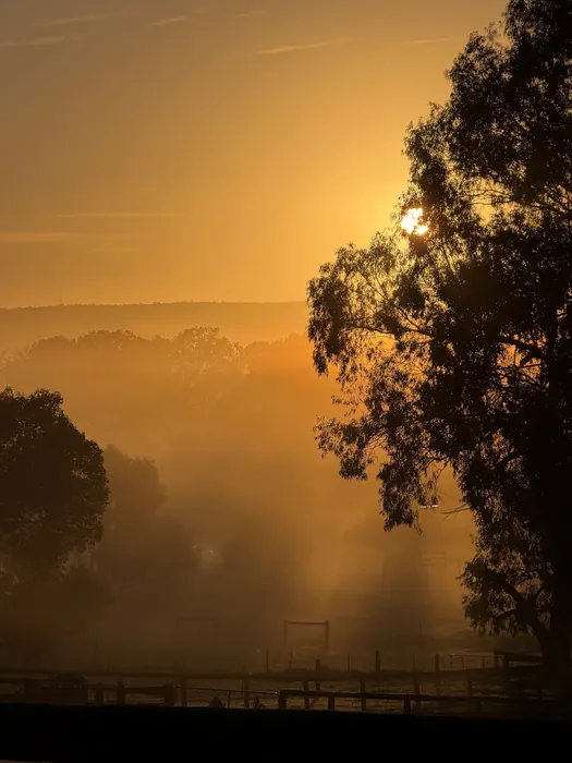 Sunrise over the farm