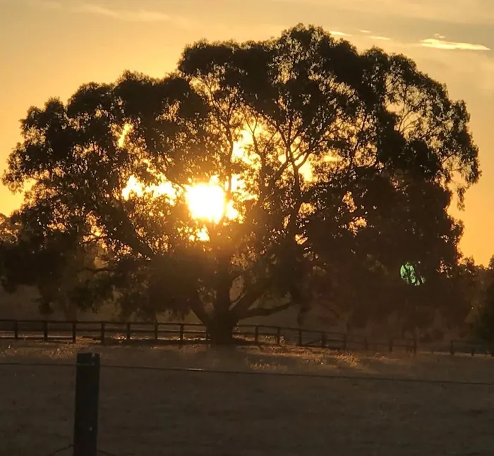Sunset through the gums